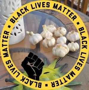 Meet your Posher, Wilberto